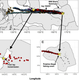 Grey shark tag tracking